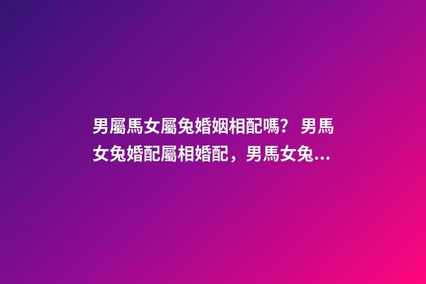 男屬馬女屬兔婚姻相配嗎？ 男馬女兔婚配屬相婚配，男馬女兔婚配如何